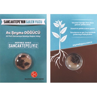 KARIŞIK KIR ÇİÇEĞİ TOHUMLARI